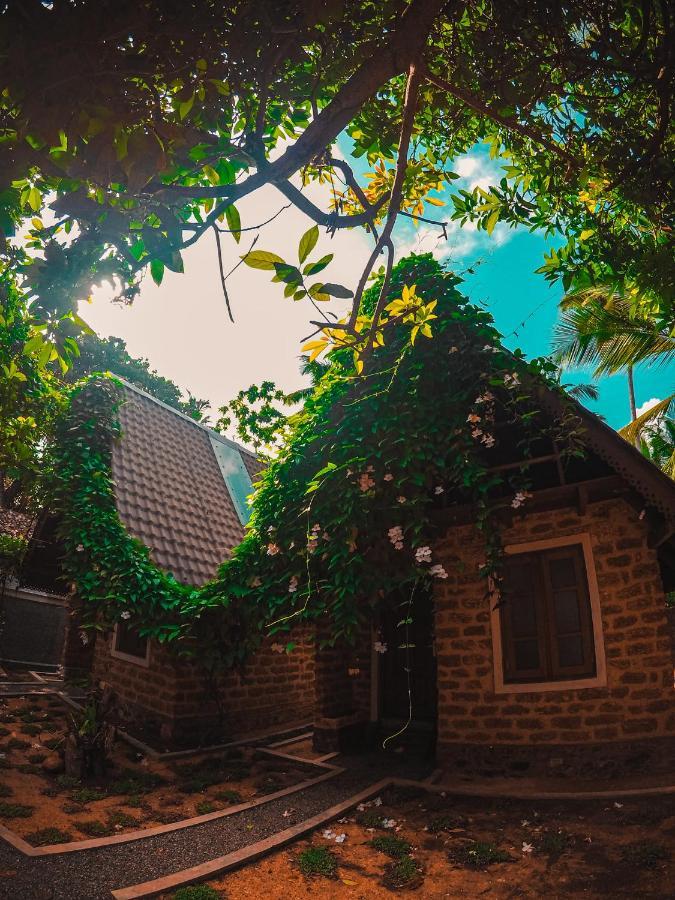 Sky View Cabin อูนาวาตูนา ภายนอก รูปภาพ
